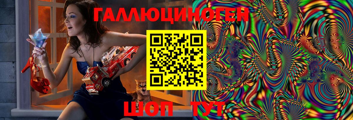 Галлюциногенные грибы Psilocybe Отрадное