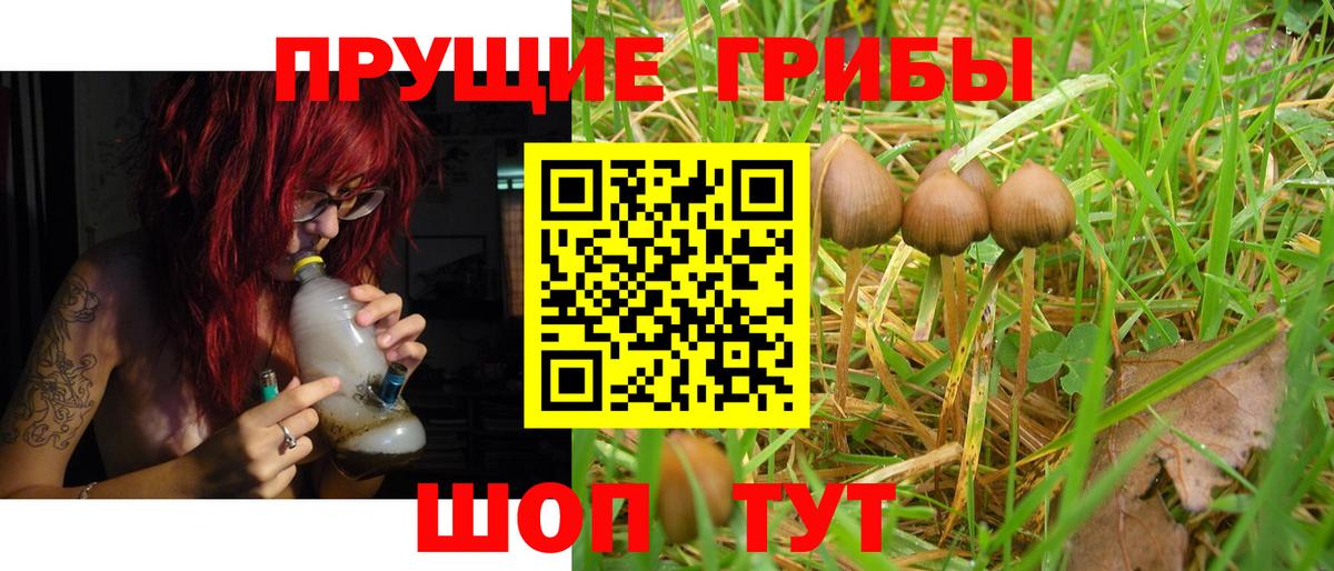 НБОМе  Отрадное  ГАШ  Где найти наркотики?  ГАШ  Кокаин  МЕФ кристаллы  Марихуана  Вход с VPN 