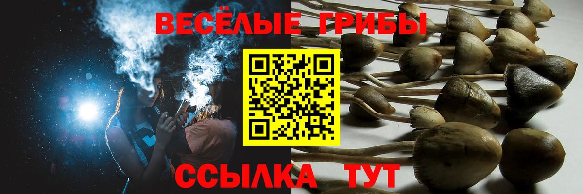 купить наркотик  Псилоцибиновые грибы Magic Shrooms  Псилоцибиновые грибы мухоморы  Вход с VPN  Отрадное 
